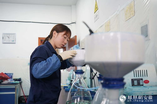 專注有機(jī)顏料研發(fā)，為宣城工業(yè)強(qiáng)市戰(zhàn)略增色添彩